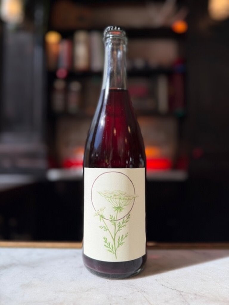 South Hill Cider, Marechal Foch Pét-Nat (2024), KARAKTERRE