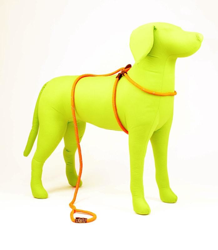 Harness Lead sz. M/L Distance Runwear