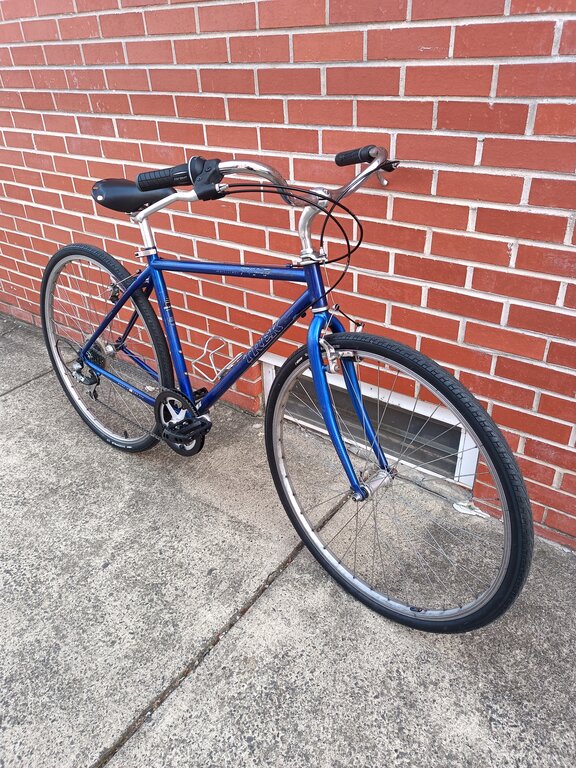 Blue Trek Multitrack Community Fund