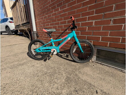 USED Cannondale Trail 16 Sinlge Speed Youth Bike