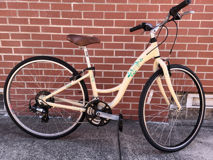 Used Bike: Trek 700 Step Thru