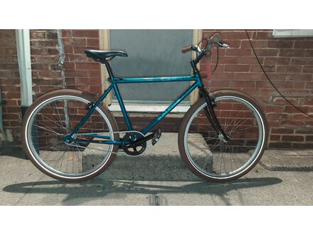 Raleigh M40 SINGLE SPEED MTB 17in