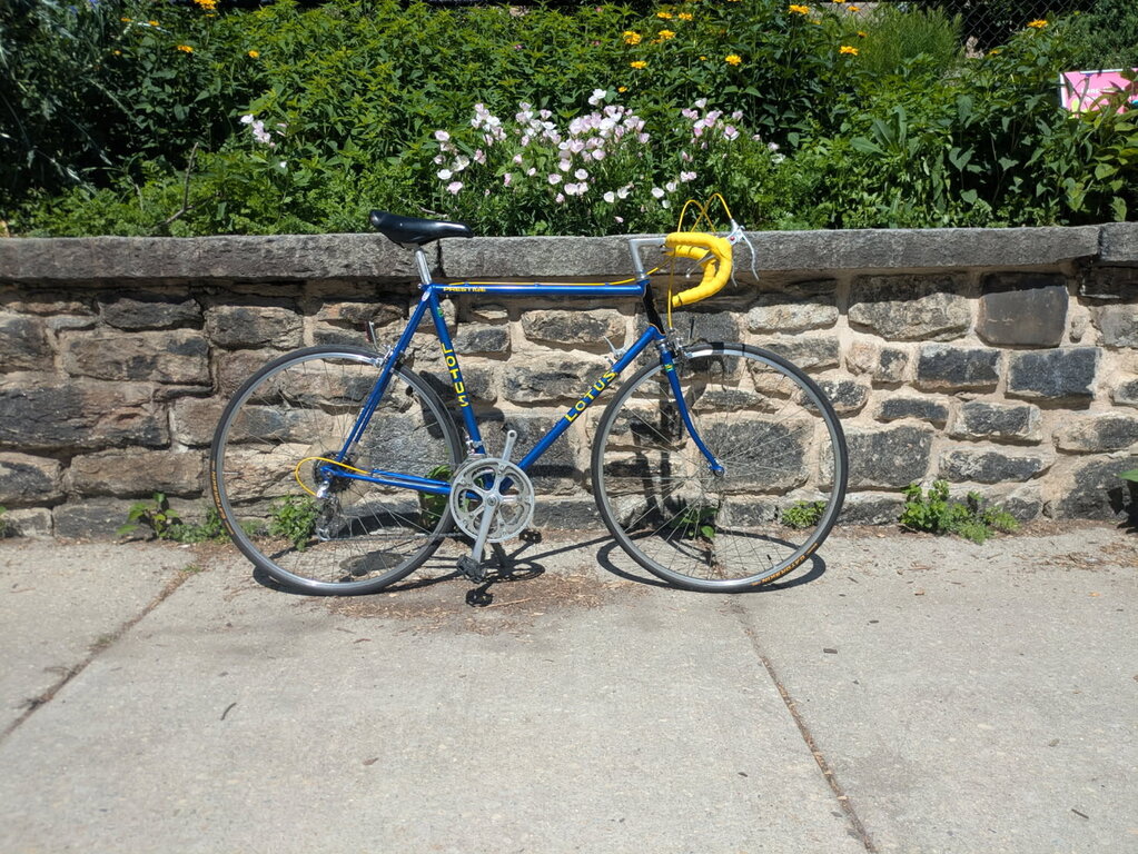 USED Lotus Prestige 60cm