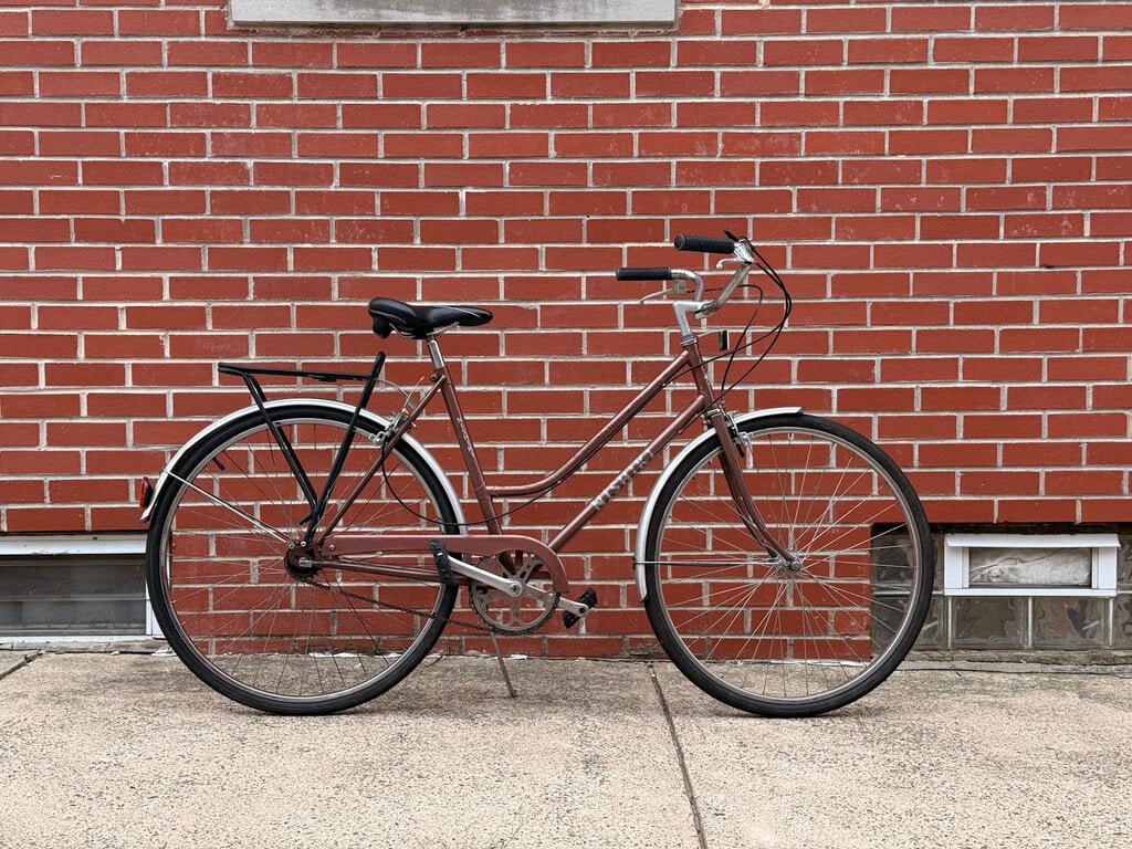 Nishiki Villager Copper-Rose