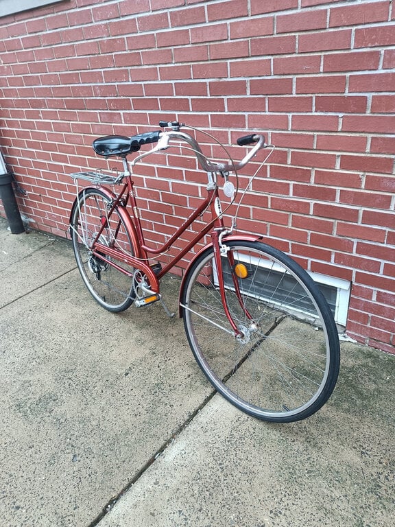 Copper Schwinn Suburban 53cm Medium