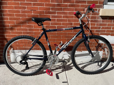Used Trek 800 Blue