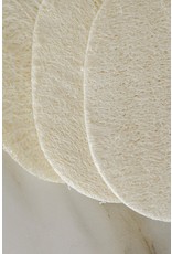 No Tox No Tox Life Biodegradable Dishwashing Eco-Sponge