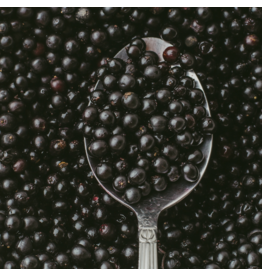 *New* Elderberry Dark Balsamic