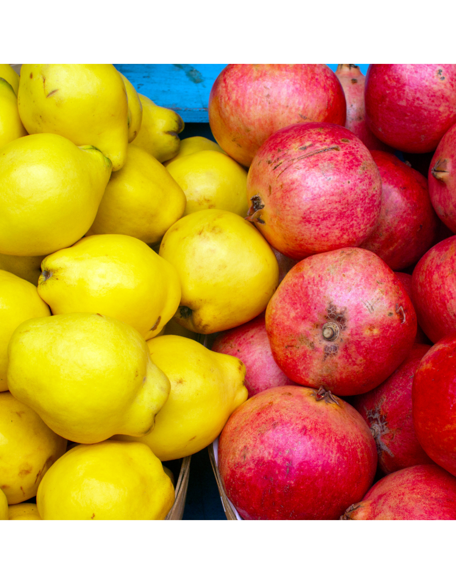 Pomegranate-Quince White Balsamic