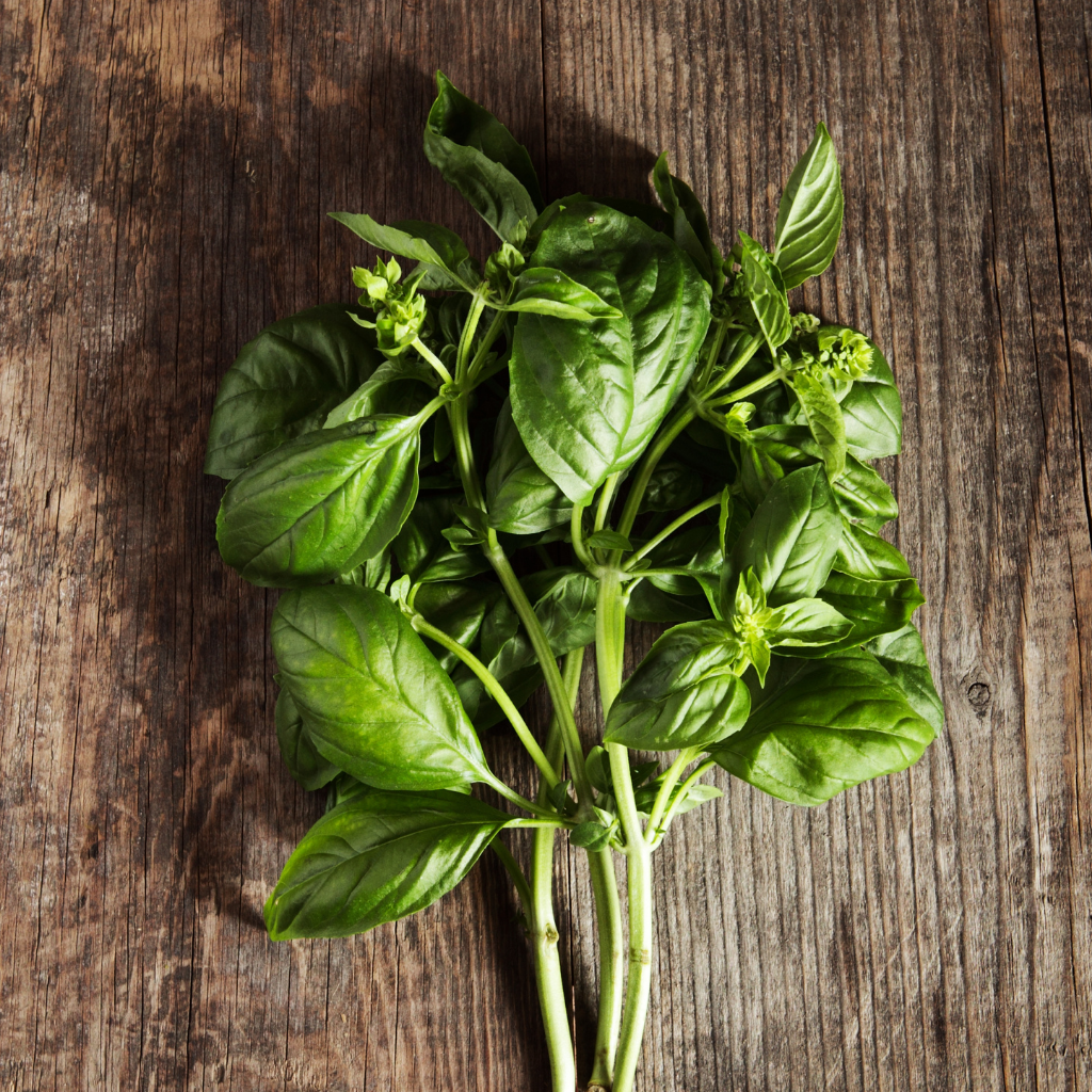 Basil Olive Oil