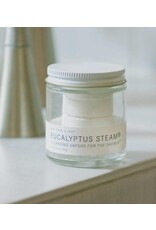 No Tox NO TOX Eucalyptus Steam
