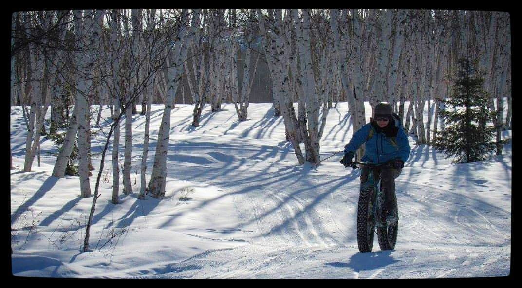 Fat Bikes