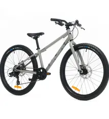 Moose Gaspard 24, Grey