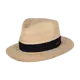 Palm Springs Fedora, Natural