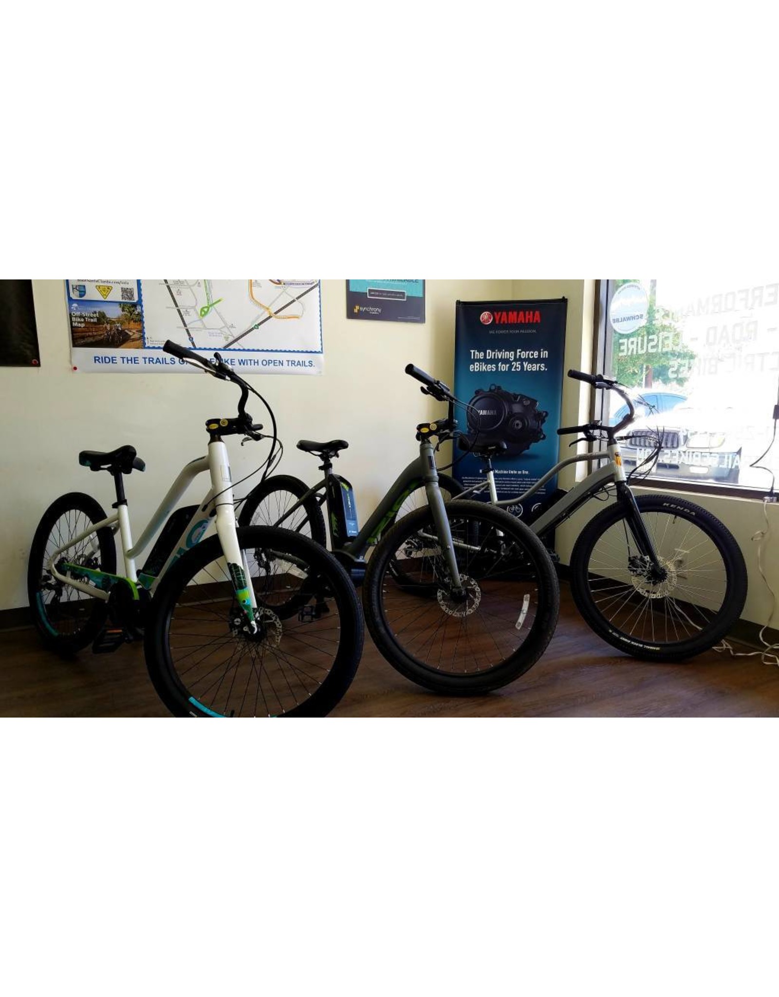 24 Hour Rental (Hardtails & Cruisers)