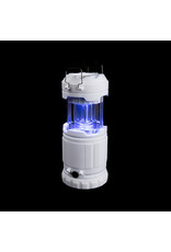 Z-Bug Lantern & Light