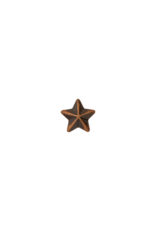 1 Star Cluster