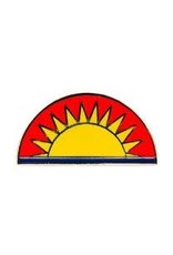 Pin - Army 41st Infantry Division