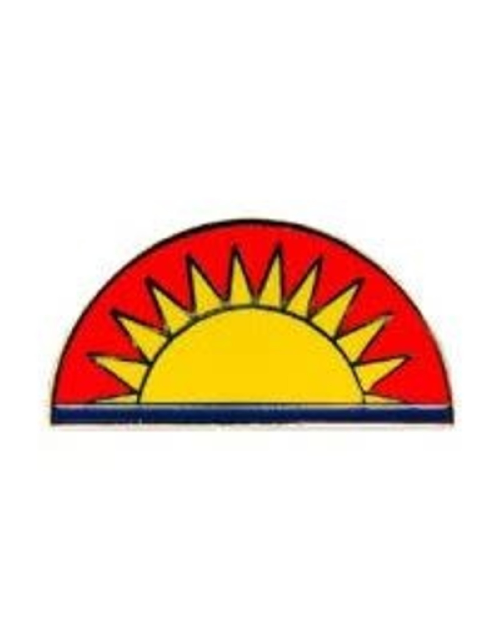 Pin - Army 41st Infantry Division