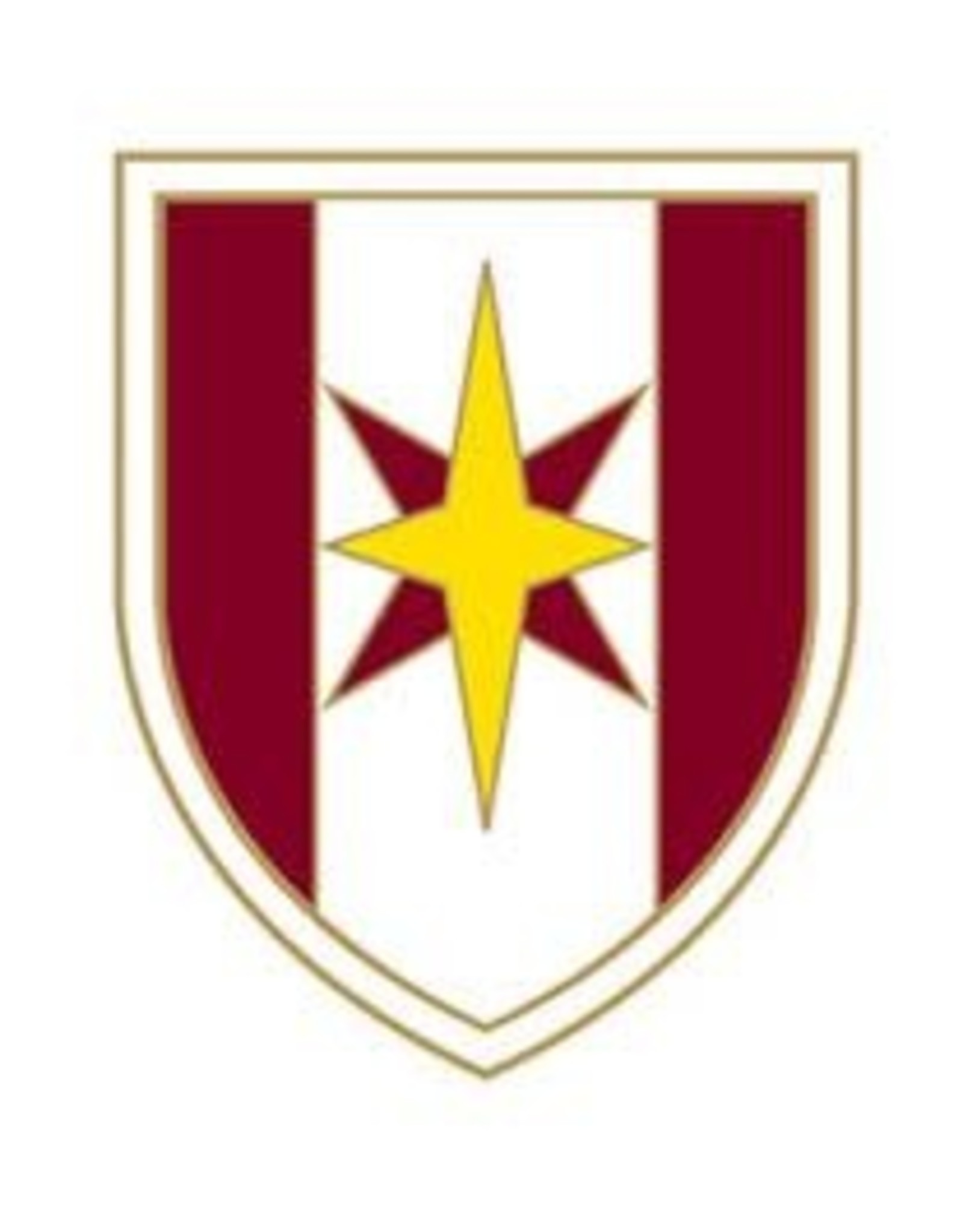 Pin - Army 44th Medic Brigade