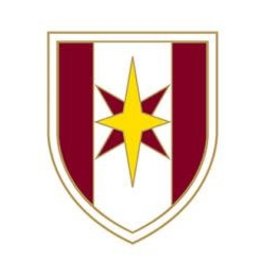 Pin - Army 44th Medic Brigade