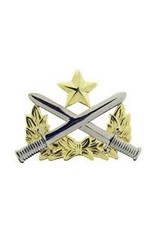 Pin - Army Ranger Qualif, 2"