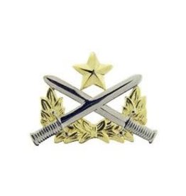Pin - Army Ranger Qualif, 2"