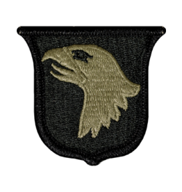 101st Airborne Patch