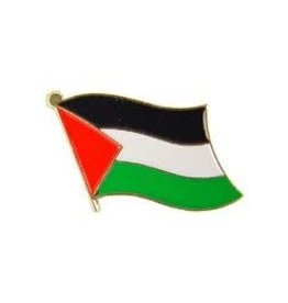 Pin - Palestine Flag