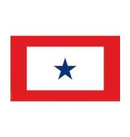 Flag - 3'x5' - Member In Service