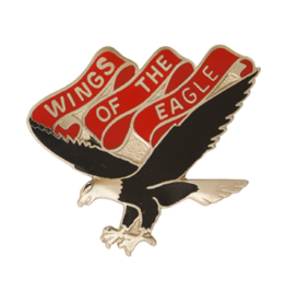 101st Aviation Crest - Wings of the Eagle