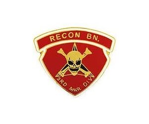pin-usmc-3rd-recon-bn-gold.jpg
