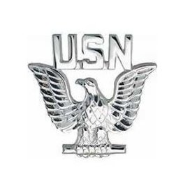 Pin - USN Enlisted Silver