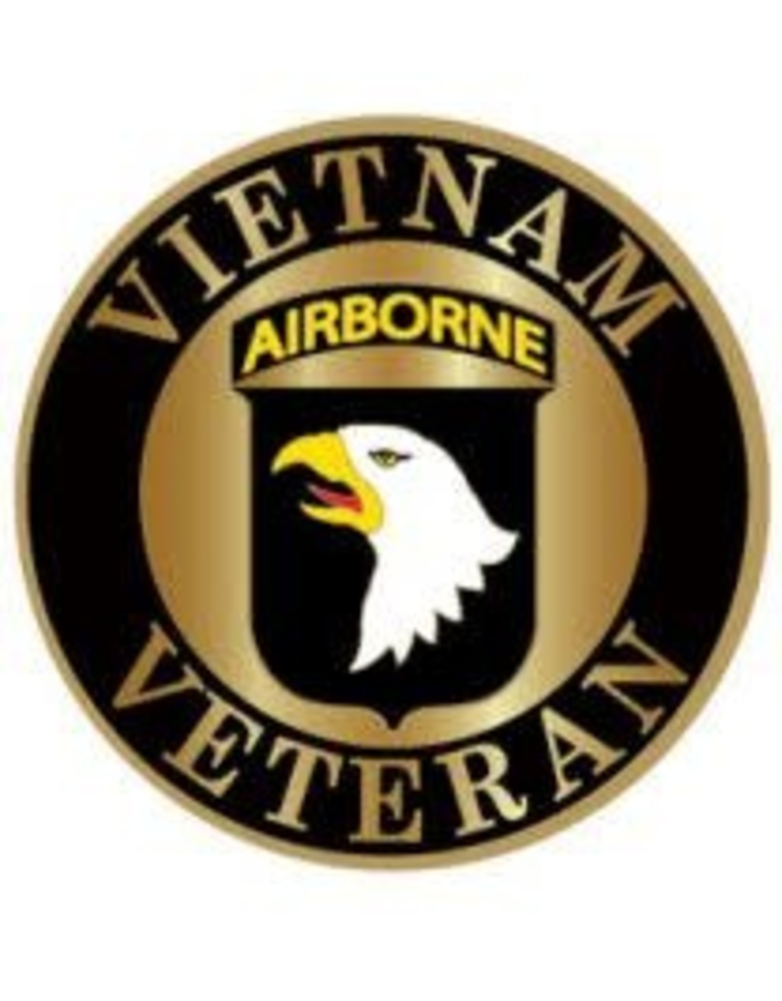 Pin - Vietnam 101st Airborne Division