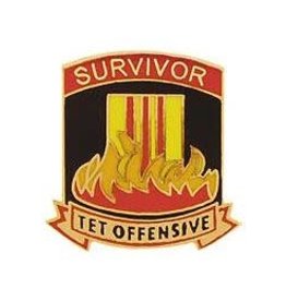 Pin - Vietnam Tet Offensive Survivor
