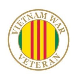 Pin - Vietnam Veteran Service Ribbon Veterans of America