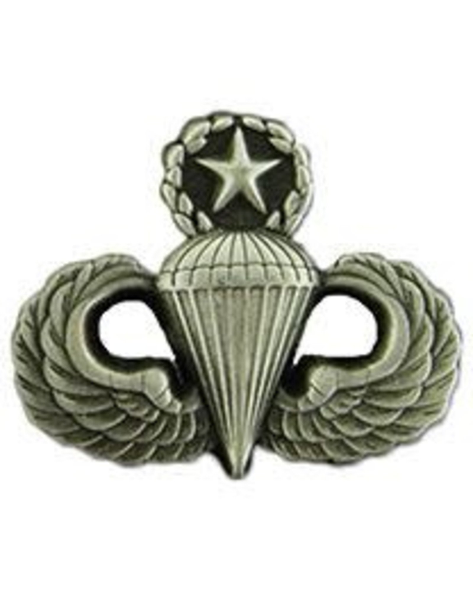 Pin - Wing - Army Para Master