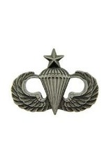 Pin - Wing - Army Para Senior