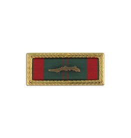 Ribbon w/Frame - Vietnam Civil Action USMC/Navy/Airforce