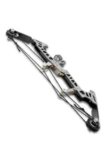 Novelty Compound Bow