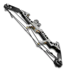 Novelty Compound Bow