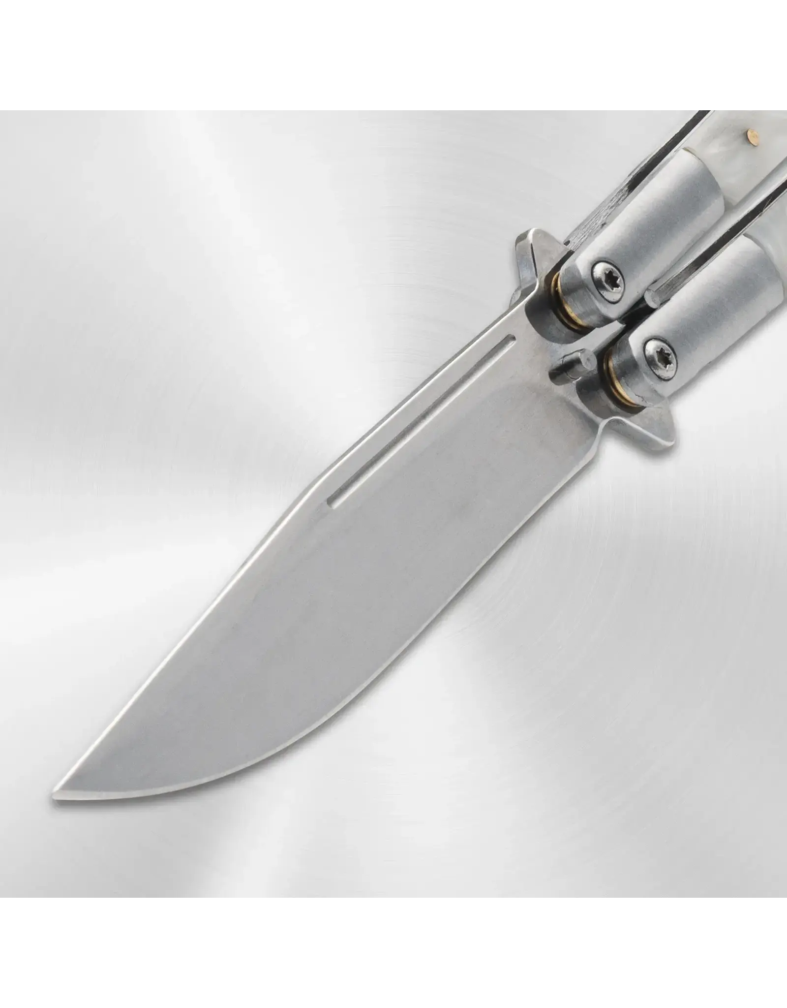 Stainless Steel Butterfly Knife