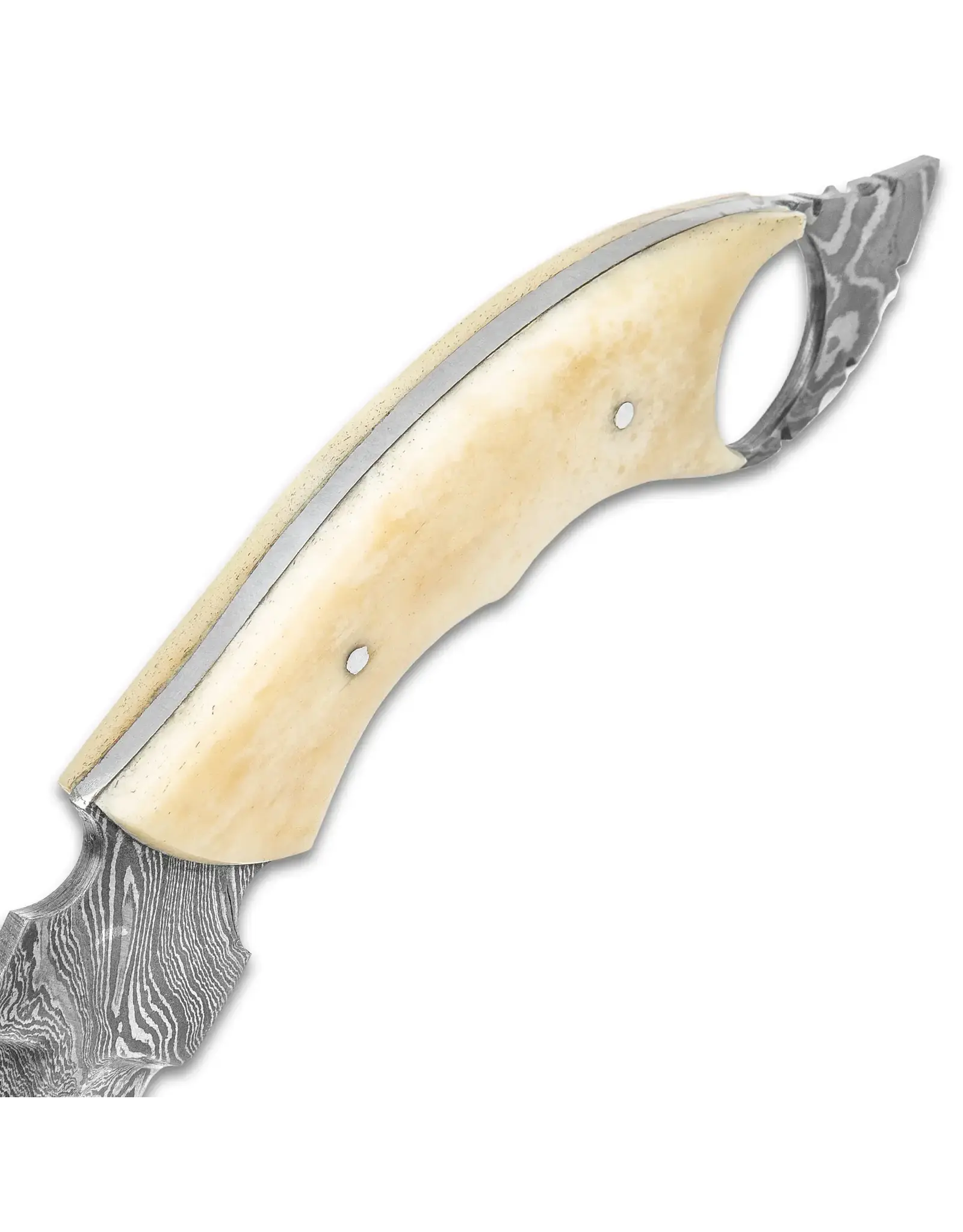 Timber Wolf Creamy Bone Karambit Knife With Sheath - Damascus Steel Blade