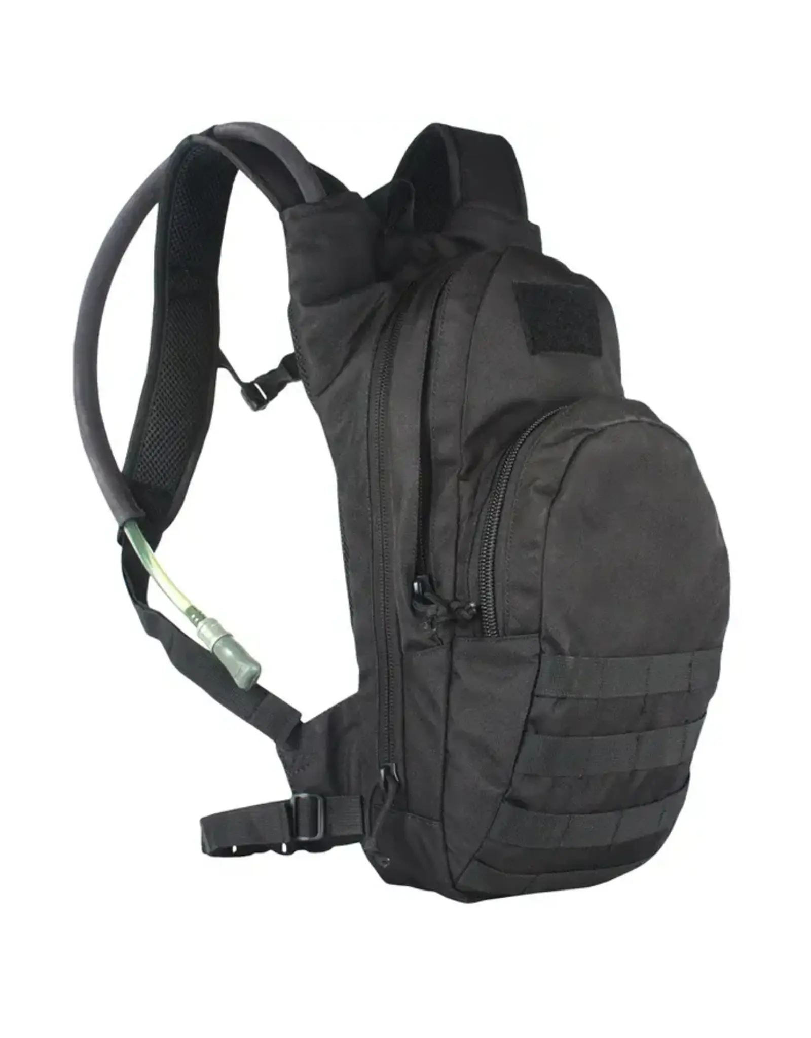 Compact Modular Hydration Backpack