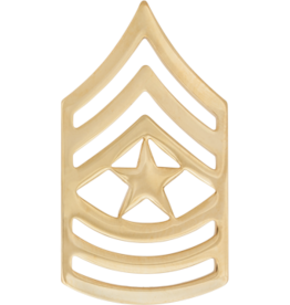 SSM/E-9 - Chevron