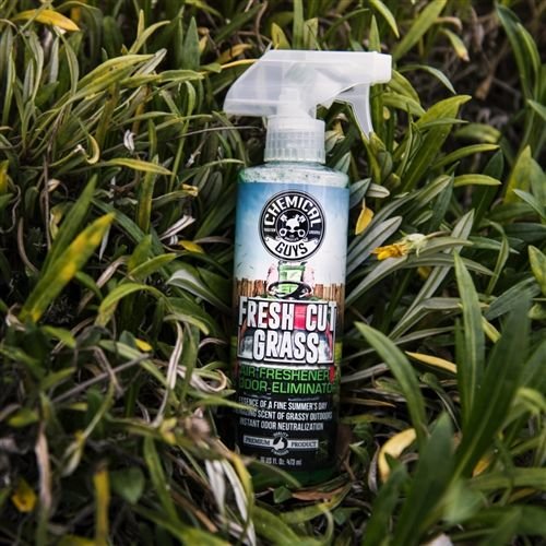 Chemical Guys AIR24316 - Fresh Cut Grass Air Freshener (16 oz)