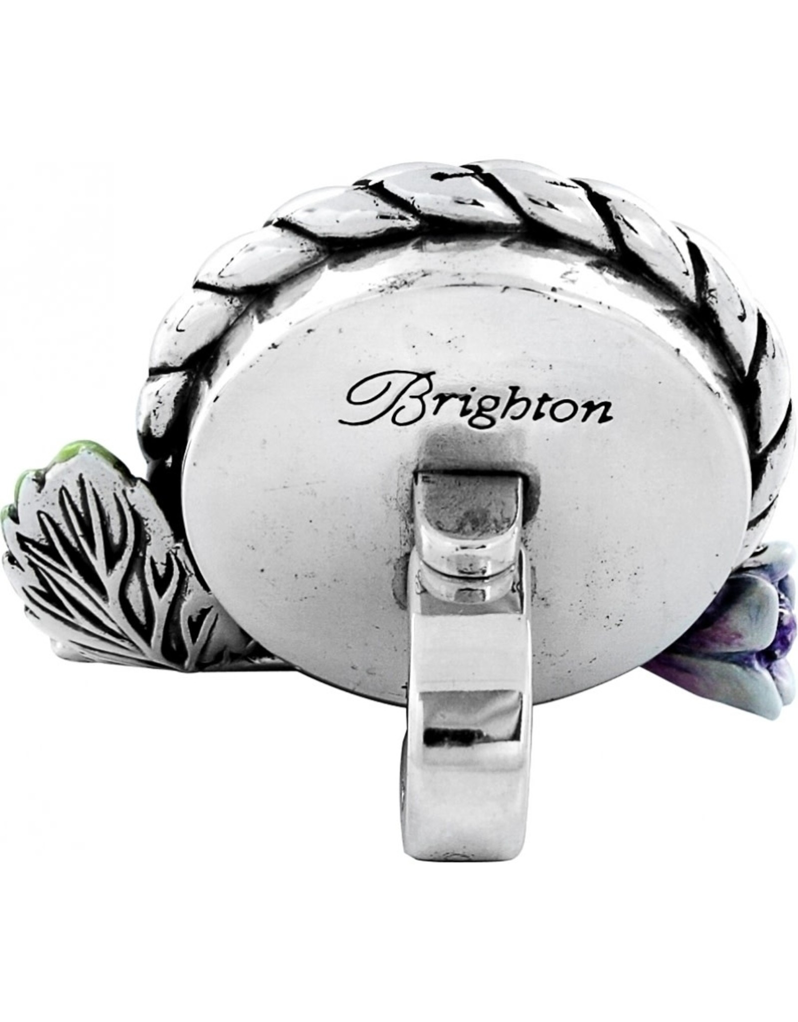 Brighton 881934715600