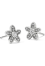 Brighton Brighton J22271 Baroness Fiori Mini Post Earring