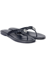 Brighton Brighton AISHA Aisha Thongs OOL Brighton Brighton AISHA Aisha Thongs OOL