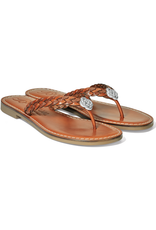 Brighton Brighton AISHA Aisha Thongs OOL Brighton Brighton AISHA Aisha Thongs OOL